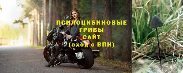 тгк Абаза