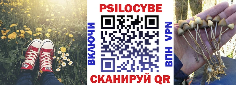 Галлюциногенные грибы Psilocybine cubensis  darknet какой сайт  Элиста 