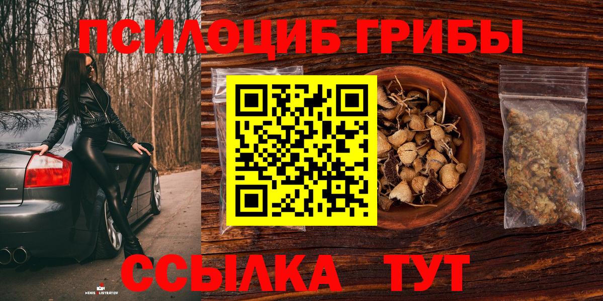 Псилоцибиновые грибы Cubensis  Вход с VPN  Элиста 
